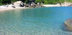 Escuelas de buceo de Santa Marta contribuyen en saneamiento de corales del Parque Nacional Natural Tayrona