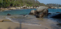 Realizarán Jornada Ambiental y Descanso de Playas en el sector de Palangana del Parque Nacional Natural Tayrona