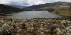 Parques Nacionales Naturales de Colombia no autorizó travesía 4*4 por páramos de Cundinamarca