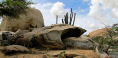 Parque Nacional Natural Macuira desarrolló talleres de fortalecimiento y entrega de insumos a los artesanos y prestadores de servicio de la comunidad wayuu