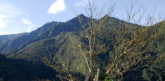 Con el programa de saneamiento predial, Parque Nacional Natural Serranía de los Yariguíes recupera la biodiversidad