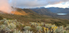 Integración de la biodiversidad: el tema de la COP 13