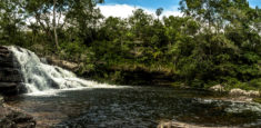 Aclaración alcance a procesos de tipo ambiental en el Parque Nacional Natural Sierra de la Macarena