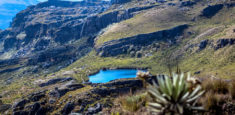 El Parque Nacional Natural Pisba recorre la Ruta Libertadora