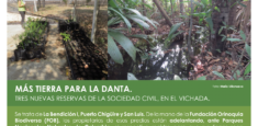 En el departamento de Vichada se crearán tres nuevas reservas naturales de la sociedad civil