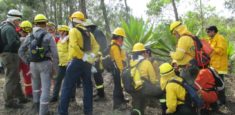 Parques Nacionales Naturales de Colombia participó en la capacitación Internacional de Manejo del Fuego
