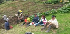 En las veredas Avendaños de Encino y Duitama: Avanza la implementación de sistemas  sostenibles  para la conservación en el Santuario de Fauna y Flora Guanentá Alto Río Fonce