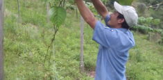 Alianzas estratégicas para la conservación de la zona con función amortiguadora en el Santuario de Fauna y Flora Guanentá alto río Fonce
