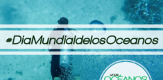 “Colombia celebra el Día Mundial de los Océanos”