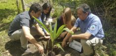 Ministerio de Ambiente, Sociedad Civil,  y autoridades ambientales y gubernamentales de Salento, firman acuerdo de voluntades por la restauración del corredor biológico de la Palma de Cera