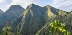 Serranía de los Yariguíes, esfuerzo para la conservación  de la biovidersidad en el departamento