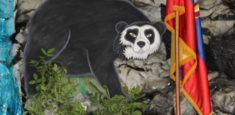 Parque Nacional Natural Puracé participó en el Día Nacional del Oso Andino y la Danta de Montaña