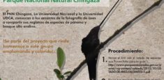 Chingaza abre convocatoria para la guia fotográfica y sonora de aves del parque