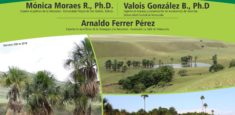 En Arauca se realizó con éxito el Primer Encuentro Internacional de los Morichales