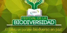 Mañana en Villavicencio se celebrará festival de la biodiversidad “el meta un paraíso biodiverso en paz”