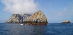 Isla Malpelo reconocida como una de las mejores áreas marinas protegidas del mundo