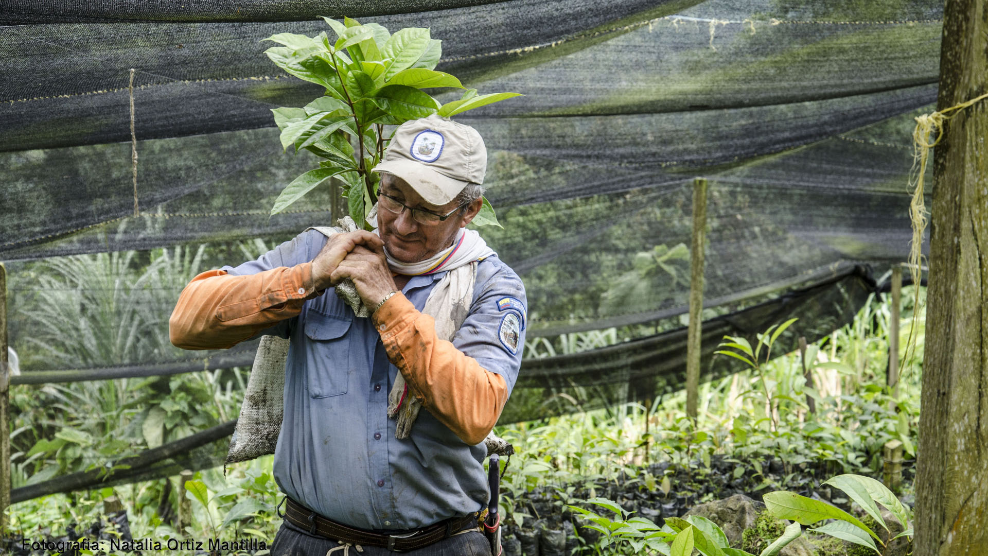 Avanza la Restauración Ecológica en el Parque Nacional Serranía Los Yariguíes