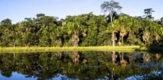 Las áreas protegidas y el uso de los bienes comunes en el Paisaje Sur
