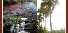 Villavicencio se prepara para el Tercer Conversatorio de Ecosistemas Estratégicos de la Orinoquia
