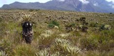 ¿Sabías que el Parque Nacional Natural Tamá posee una gran riqueza hídrica?
