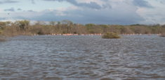 Pescadores de Camarones en La Guajira, ejemplo de reconversión económica y protección ambiental