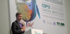 Cerca de 200 países se reúnen en México para proteger la biodiversidad
