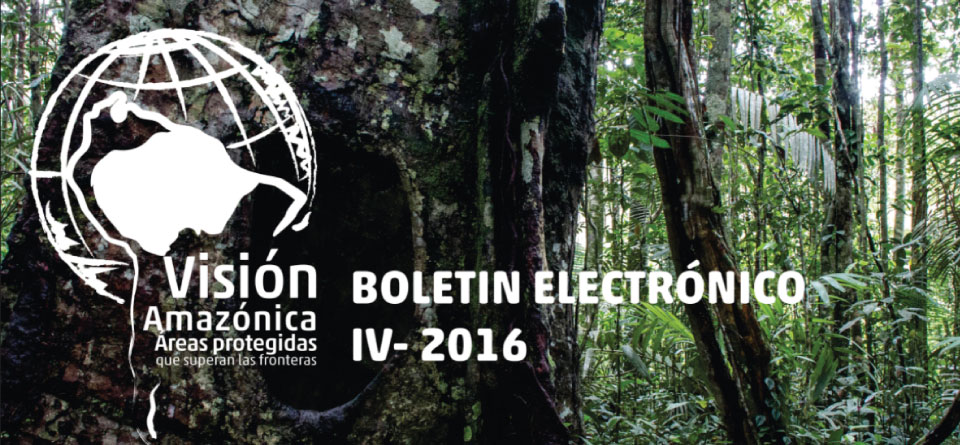 Boletían Electrónico Visión amazónica edición 4 - 2016