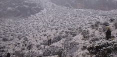 Volvió la nieve al Parque Nacional Natural Los Nevados