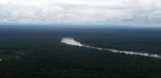 La firma Prima Colombia Hardwood no tiene ningún permiso para la explotación de bosques maderables en Colombia