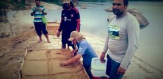 Parques Nacionales Naturales De Colombia continúa protegiendo los nidales de tortuga Terecay en Vichada