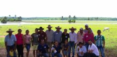 Casanare apuesta por la recuperación de los morichales en las llanuras inundables