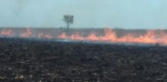 Parques Nacionales Naturales de Colombia y el Comité Departamental de Gestión del Riesgo de Desastres de Vichada intentan controlar incendio forestal en el Parque Nacional Natural El Tuparro