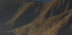Gestión de alianzas por la conservación en el noroeste antioqueño