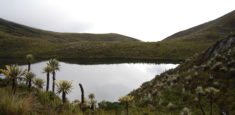 En Semana Santa #VisitoMisParquesNaturales y me conecto con la naturaleza