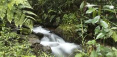 Se restringe el acceso a los Picos de los Farallones de Cali