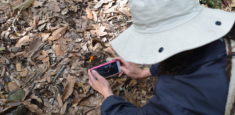 Colombia se sumó a #SoyNaturalista y disfrutó de la primera experiencia simultánea de ciencia ciudadana