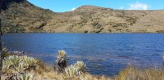Actualmente no está permitido el turismo ni en el páramo ni el Parque Nacional Natural Sumapaz