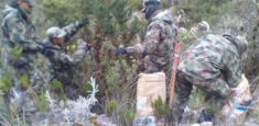 En el Parque Nacional Natural Sumapaz se llevó a cabo jornada de control del retamo espinoso