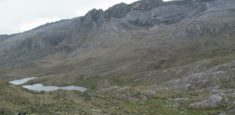 Parques Nacionales Naturales de Colombia realizará IX Congreso colombiano de Botánica