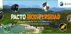 Lanzamos blog del Pacto Biodiversidad