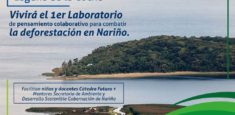 Nariño: Laboratorio de pensamiento colaborativo para combatir la deforestación
