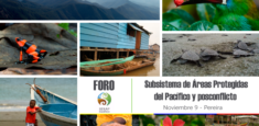El subsistema regional de áreas protegidas del Pacífico colombiano y el posconflicto