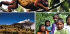 Dirección Andes Occidentales de Parques Nacionales Naturales de Colombia rinde cuentas en Medellín