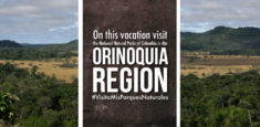 Orinoquia region