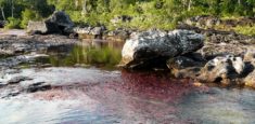Por temporada seca, restringido el  ingreso a Caño Cristales y Cristalitos