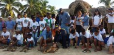 XVIII Liberación de Tortugas Marinas en el Parque Nacional Natural Los Corales del Rosario y de San Bernardo