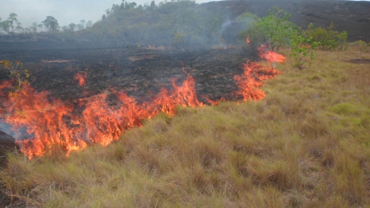 Incendio en el Parque Nacional Natural el Tuparro