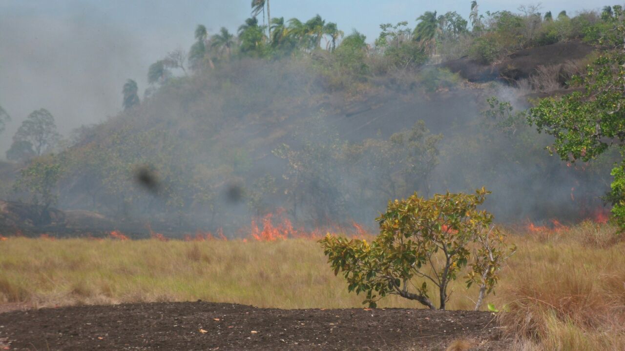 Incendio en Parque Nacional Natural el Tuparro Febrero 2018