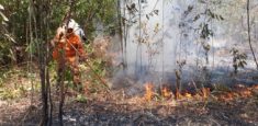 Extinto en un 85% incendio forestal en el Parque Nacional Natural Sierra de la Macarena