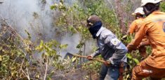 Autoridades realizan acciones para controlar nuevo incendio forestal en el Parque Nacional Natural Sierra de la Macarena